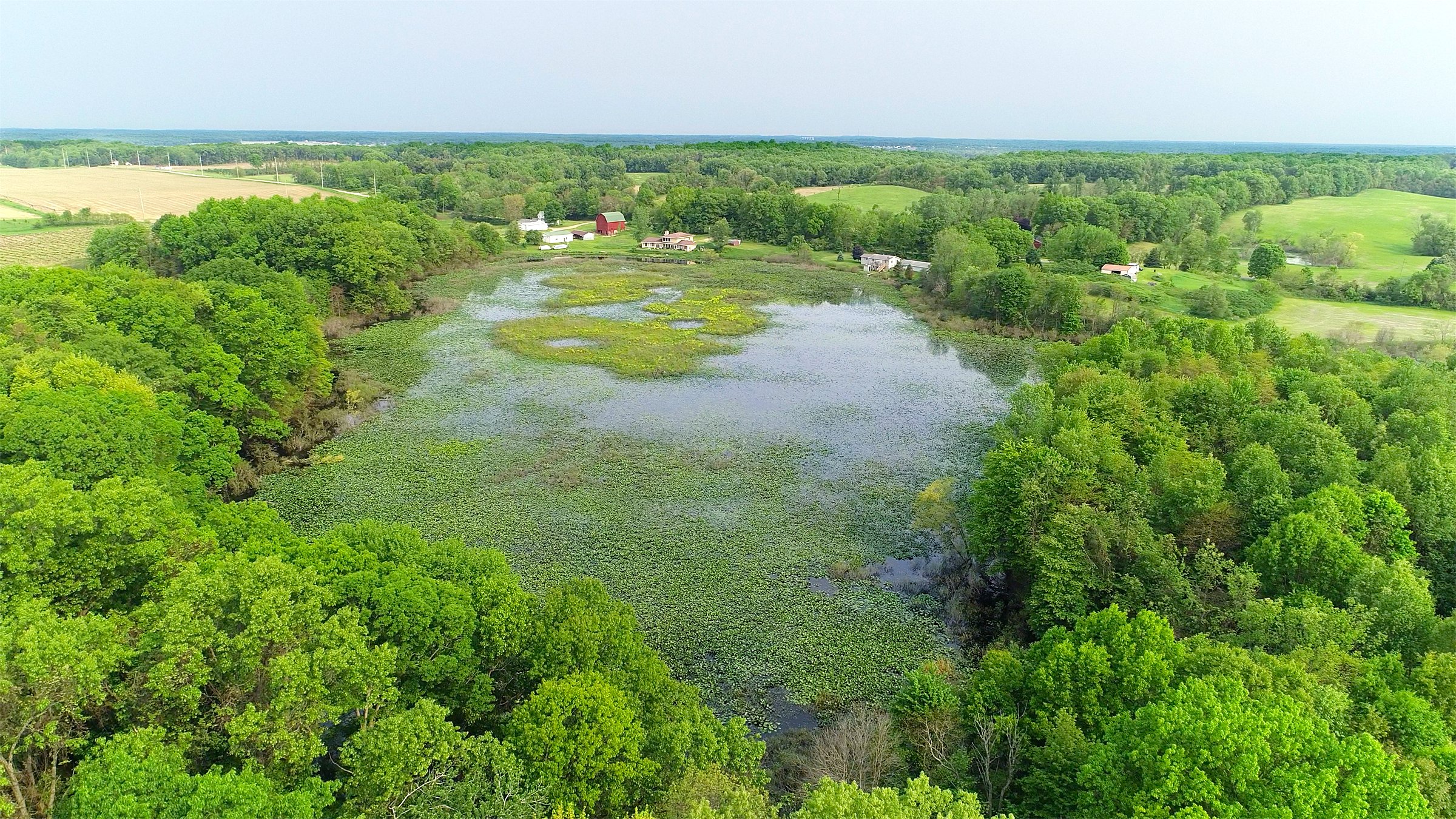 Van Buren County, Michigan farmland - LAND AUCTION - 194+/- ACRES OFFERED IN 5 TRACTS IN VAN BUREN COUNTY, MICHIGAN